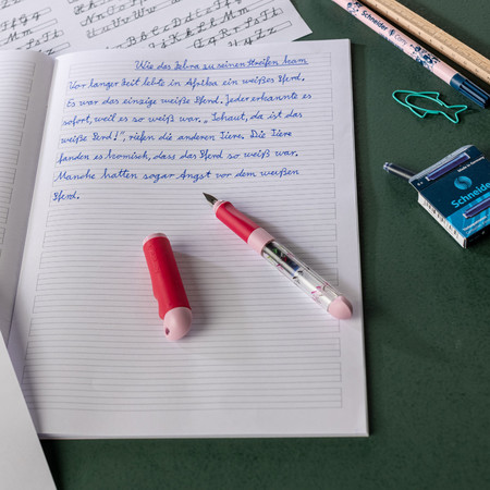 Base Kid grey-green Fountain pens by Schneider