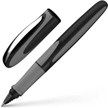 Ray Onyx Line width M Cartridge rollerballs by Schneider