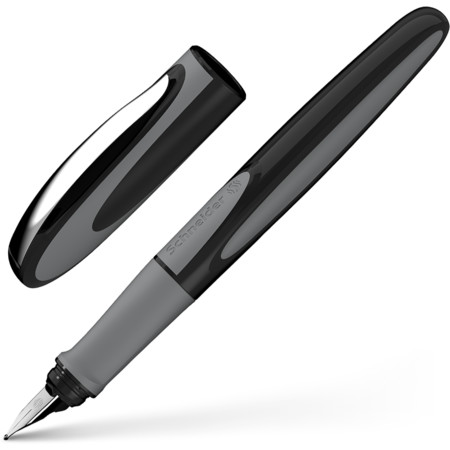 Ray Onyx Line width M+ Fountain pens by Schneider