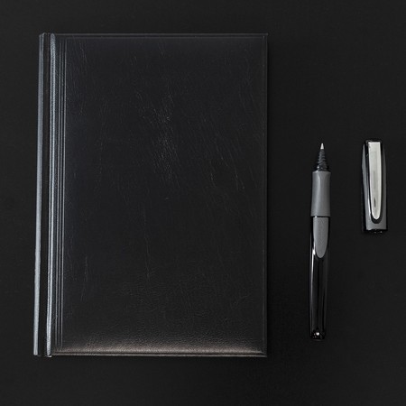 Ray Onyx Line width M Cartridge rollerballs by Schneider